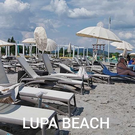 Chill Apartman Budakalász Buitenkant foto