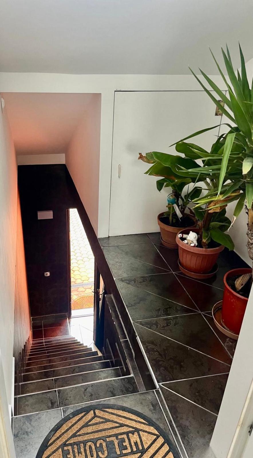 Chill Apartman Budakalász Buitenkant foto